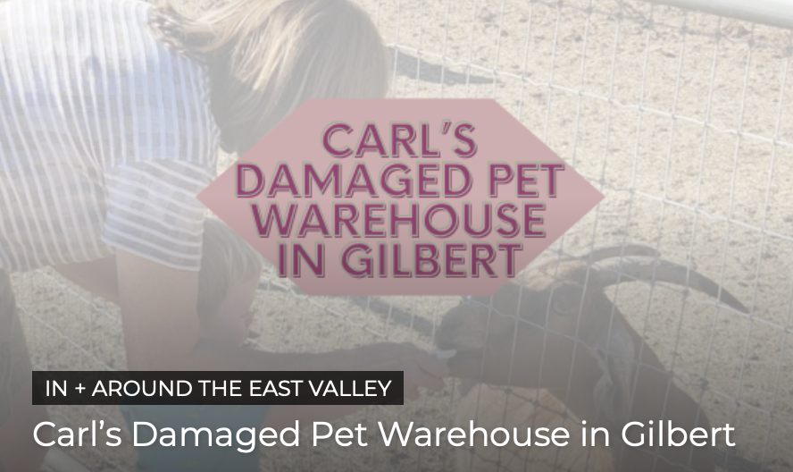 Carl’s Damaged Pet Warehouse in Gilbert